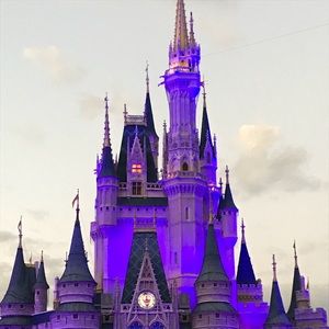 Meet your Posher, Layla